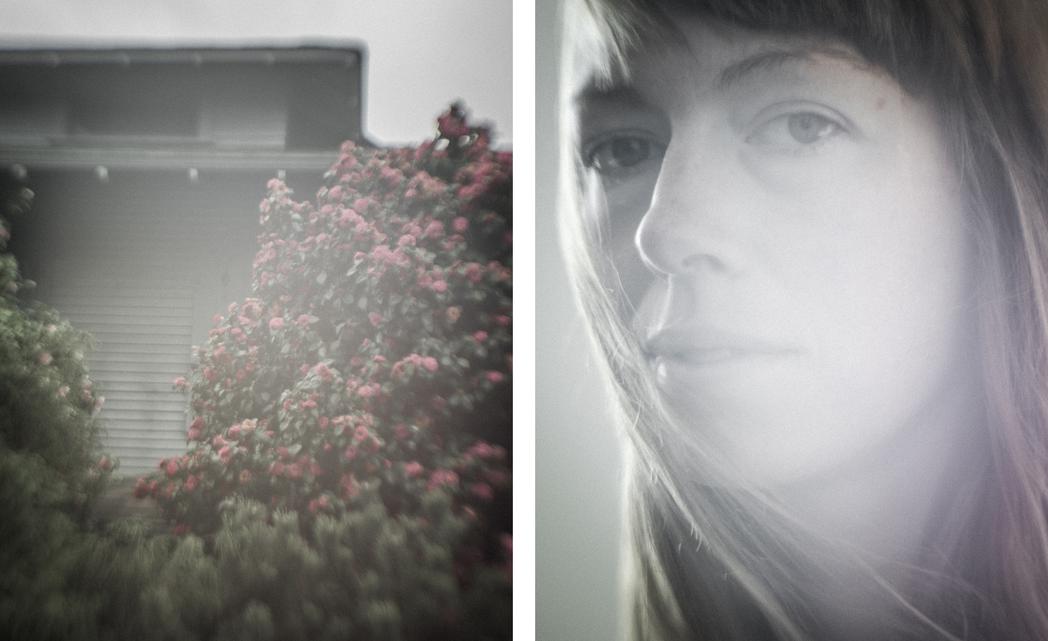 Camellias on Capitol Hill / Julie Hotz, None