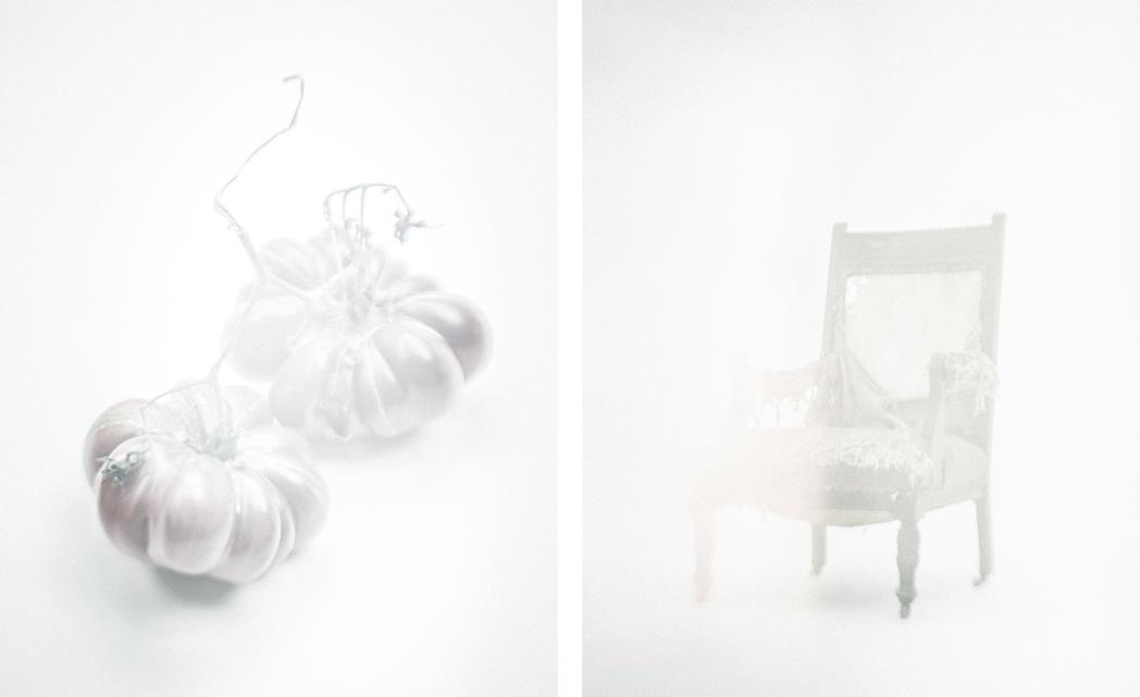 Backyard tomatoes / old chair with flare, None