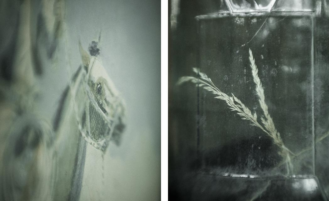 Liz's Porch, BC, None