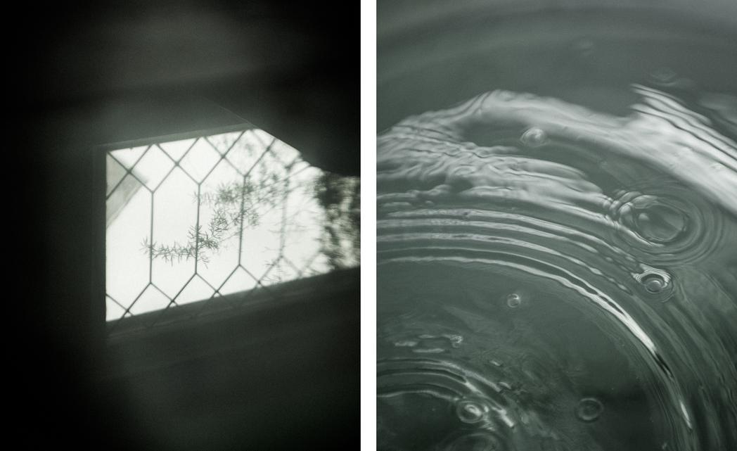 Liz's House, BC, None