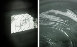 Liz's House, BC, None