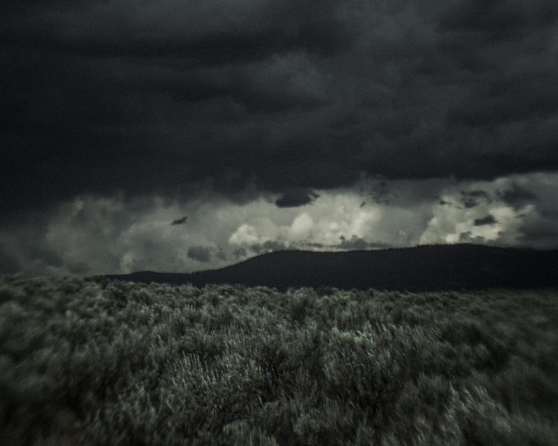 Sage brush, EO, None