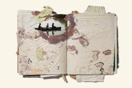 Sketchbook, MISC., None