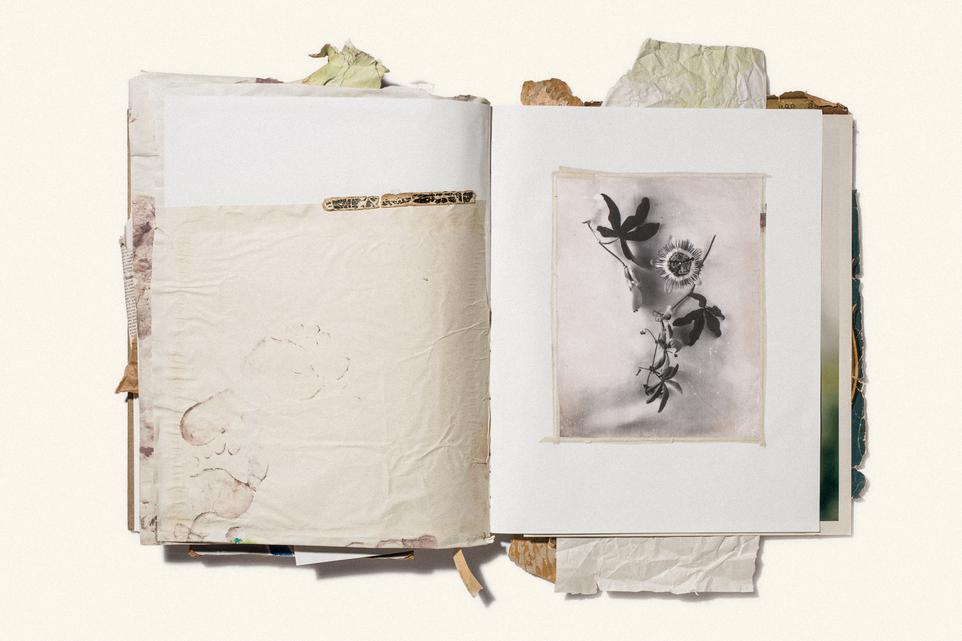 Sketchbook, MISC., None