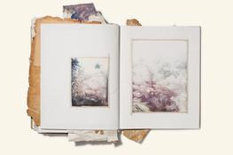 Sketchbook, MISC., None