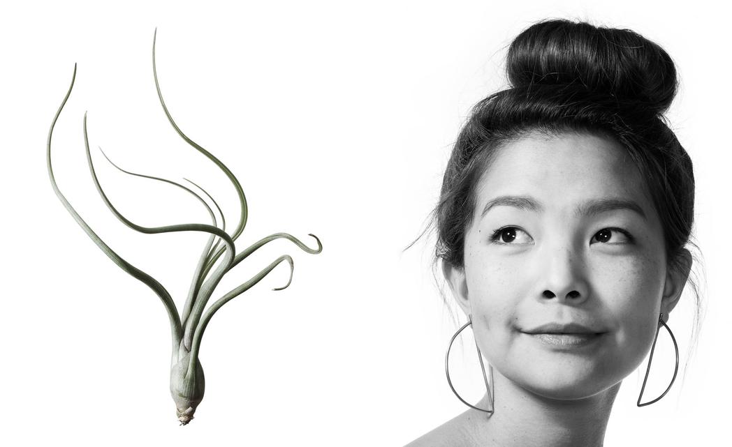 "Ask A Local: Seattle", Sunset