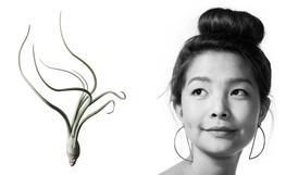 "Ask A Local: Seattle", Sunset