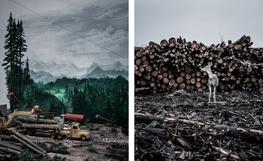 "Here We Are Now/Kurt Lived Here", Sunset