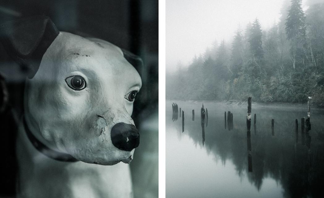 "Here We Are Now/Kurt Lived Here", Sunset