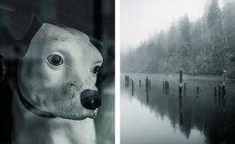 "Here We Are Now/Kurt Lived Here", Sunset