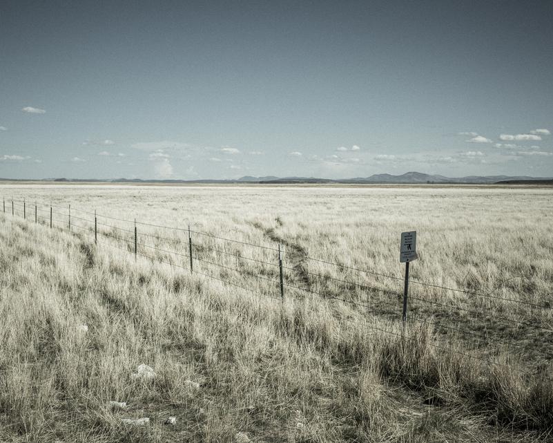 "Common Ground", Audubon