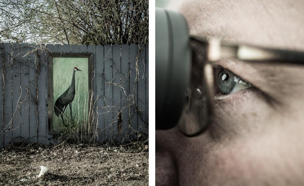 "Common Ground", Audubon