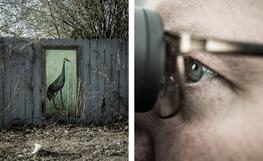 "Common Ground", Audubon