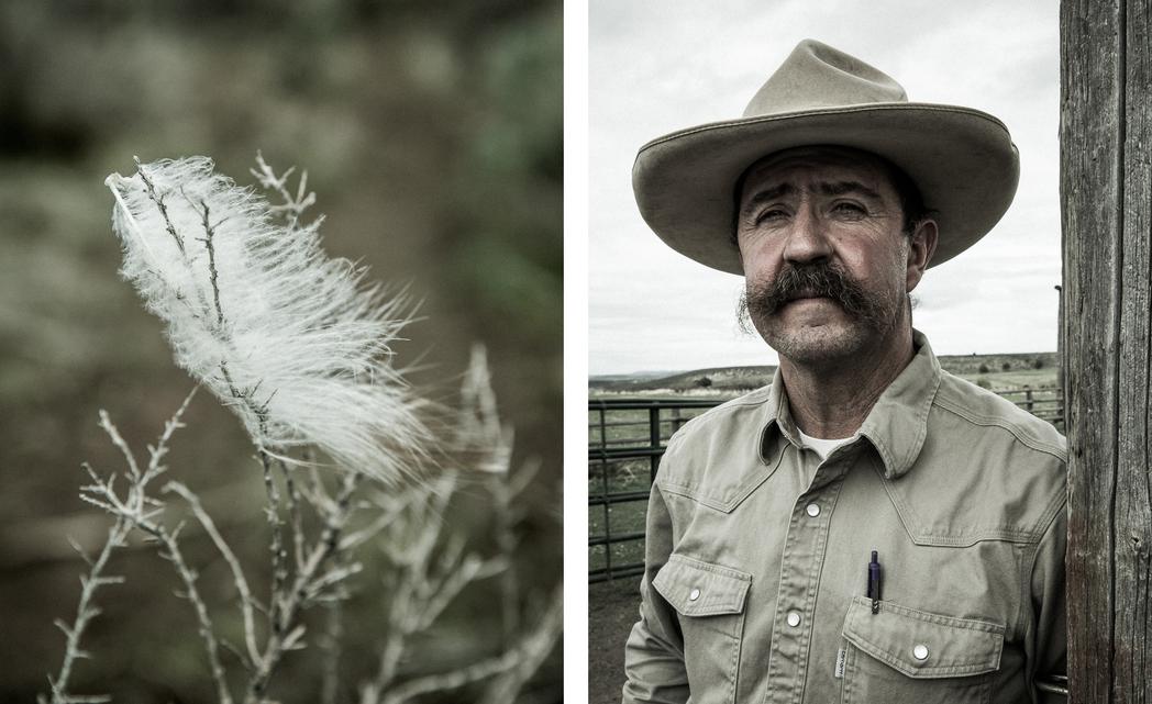 "Common Ground", Audubon