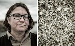 "Common Ground", Audubon