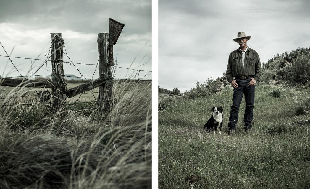 "Common Ground", Audubon