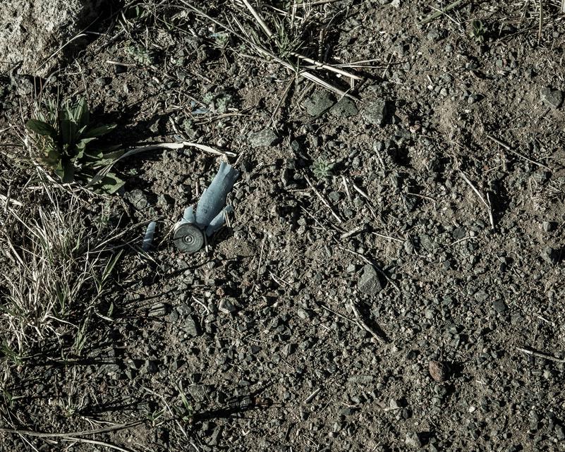 "Common Ground", Audubon