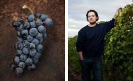 Matt Reynvaan, Sunset