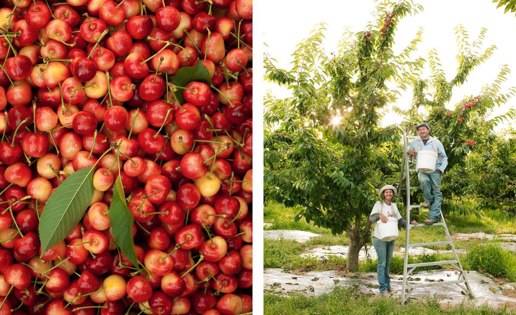 "The West's Rubies", Sunset